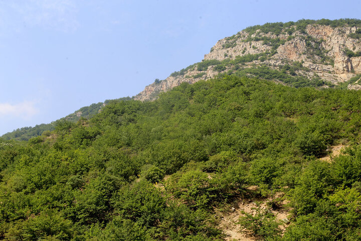 باغات روستای درکش
