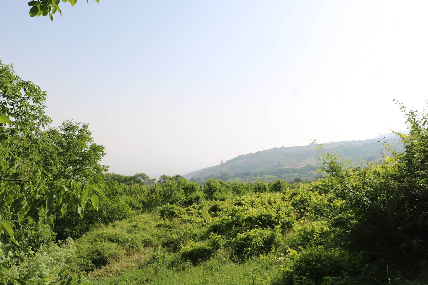 چشم&zwnj;انداز محلی کشانک