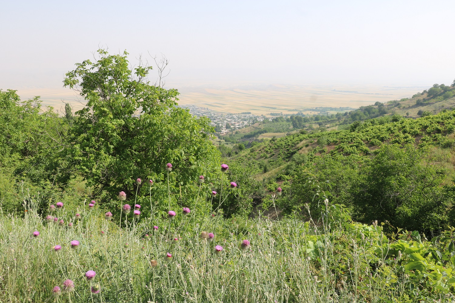 طبیعت پیرامون کشانک