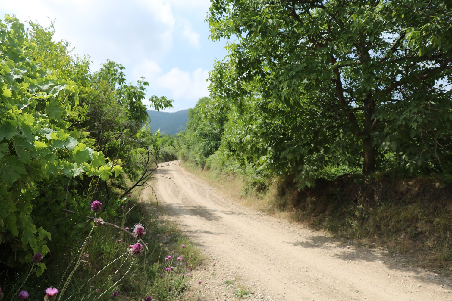 فضای بومی روستای کشانک