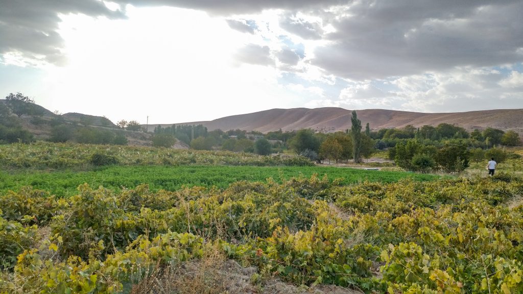 منظره کوهستانی کرکان