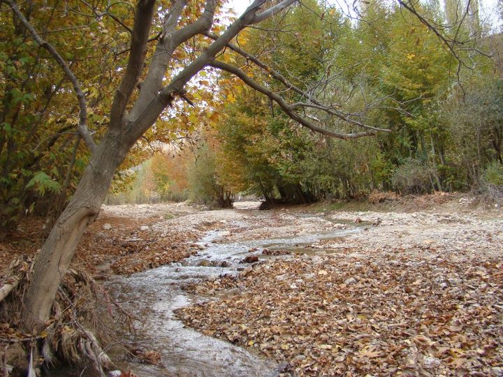 باغ و پوشش سبز خسرویه