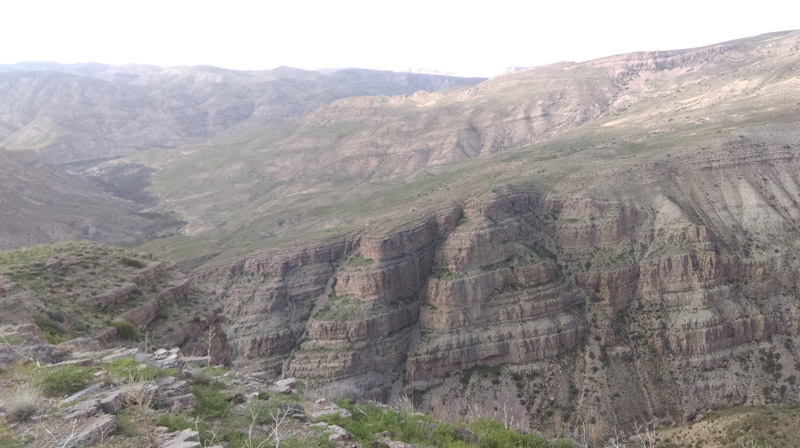 پوشش گیاهی و چشم&zwnj;انداز ساریگل