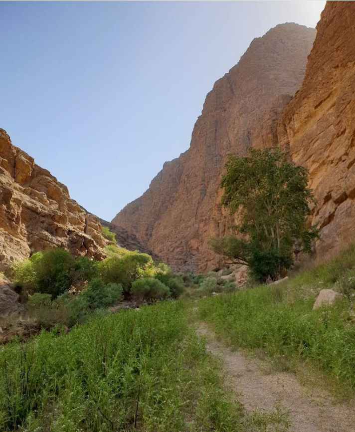 منظره منطقه حفاظت&zwnj;شده ساریگل