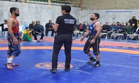 گزارش تصویری از جلوه های مسابقات کشتی پهلوانی استان
